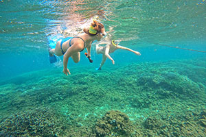 Scuba Diving at Pigeon Island